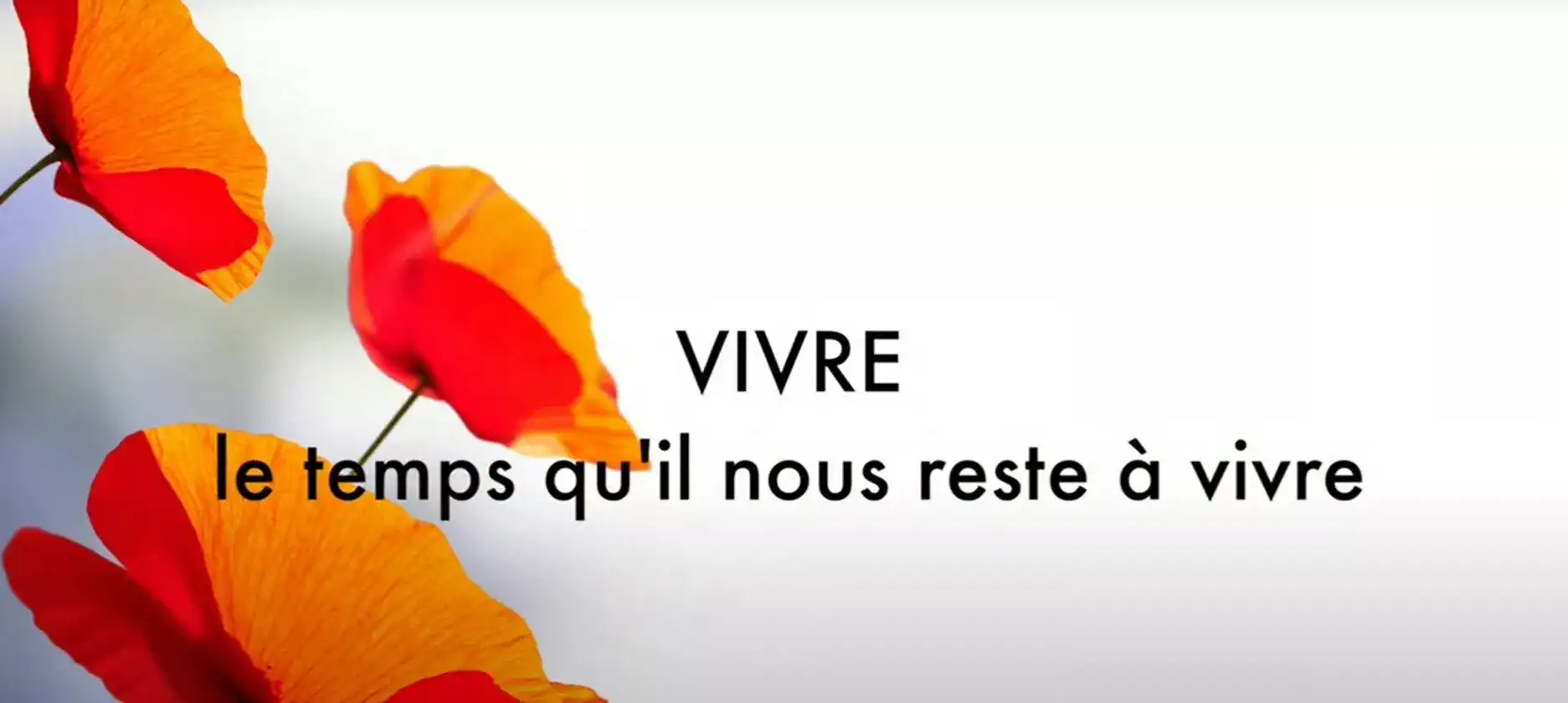 Film sur les soins palliatifs