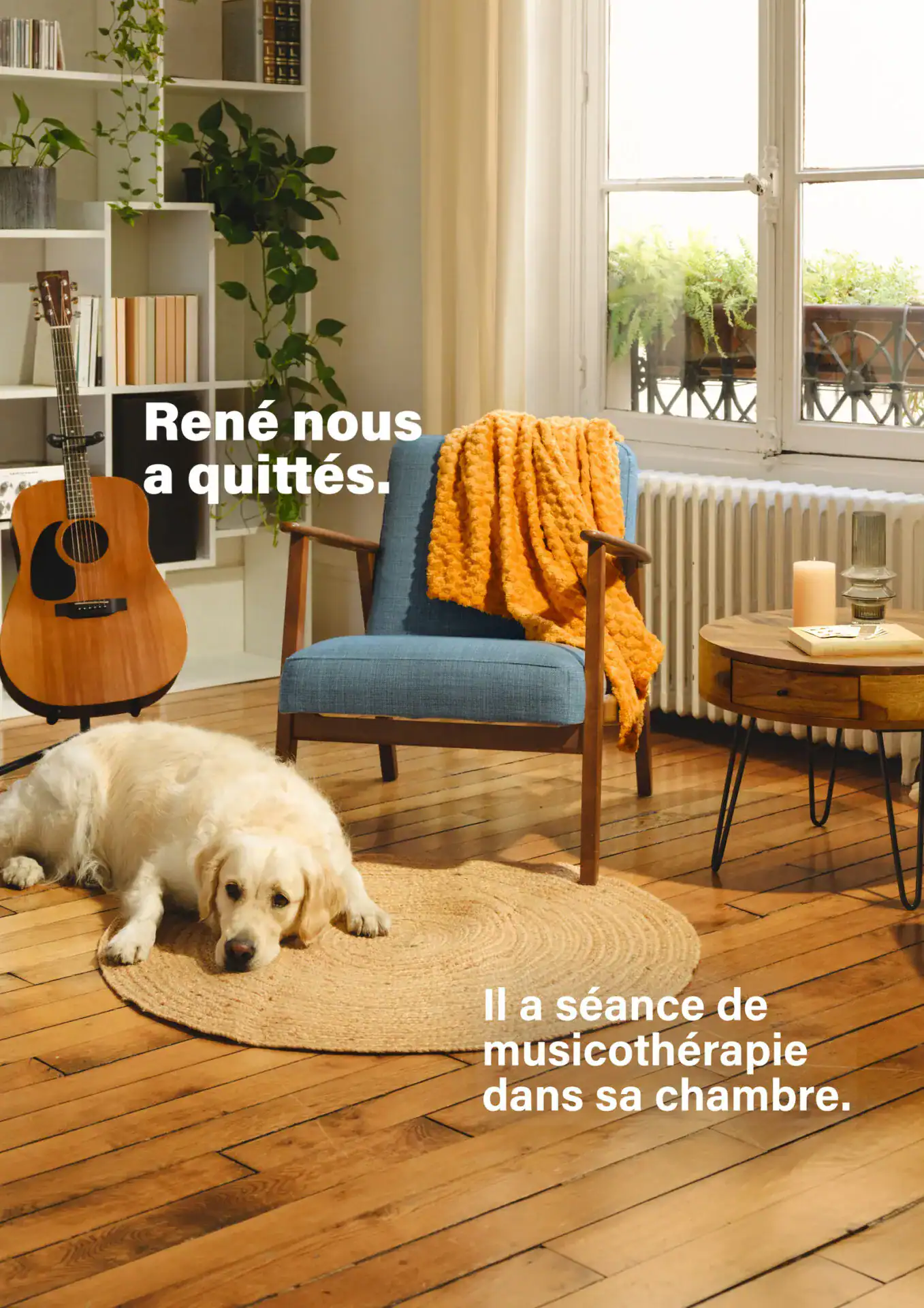 helebor rene 1600x2263 avec texte